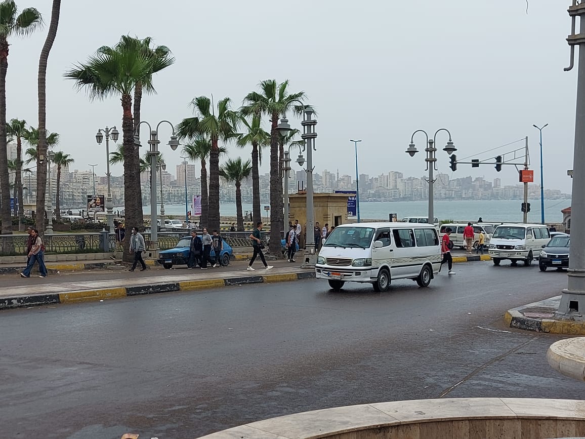 أمطار الإسكندرية (6)
