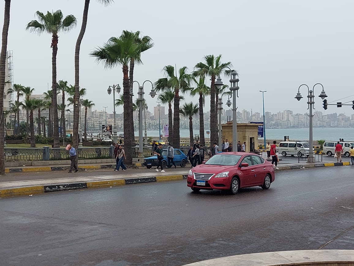 أمطار الإسكندرية (5)