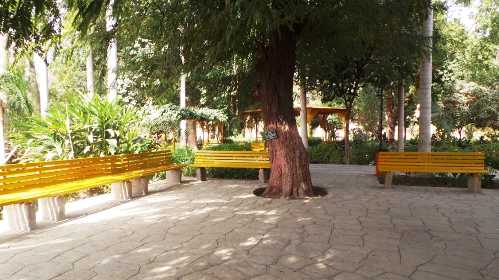 الحديقة النباتية أبرز مقصد سياحى فى أسوان (3)
