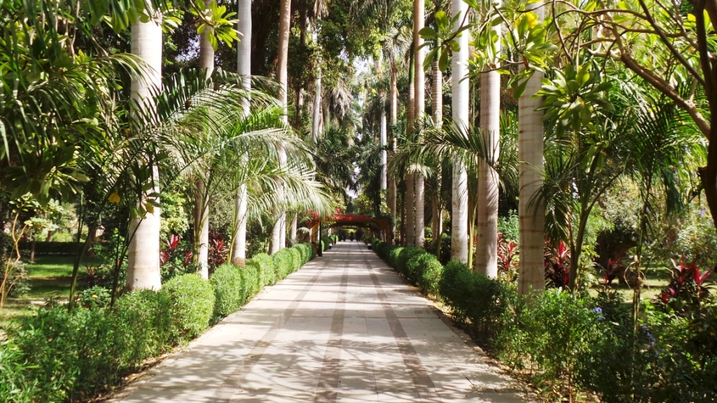 الحديقة النباتية أبرز مقصد سياحى فى أسوان (4)