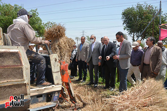 متابعة-توريد-القمح-بعدد-من-الصوامع