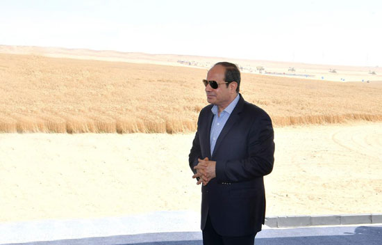 الرئيس السيسي يشهد افتتاح مشروع مستقبل مصر للإنتاج الزراعى (4)
