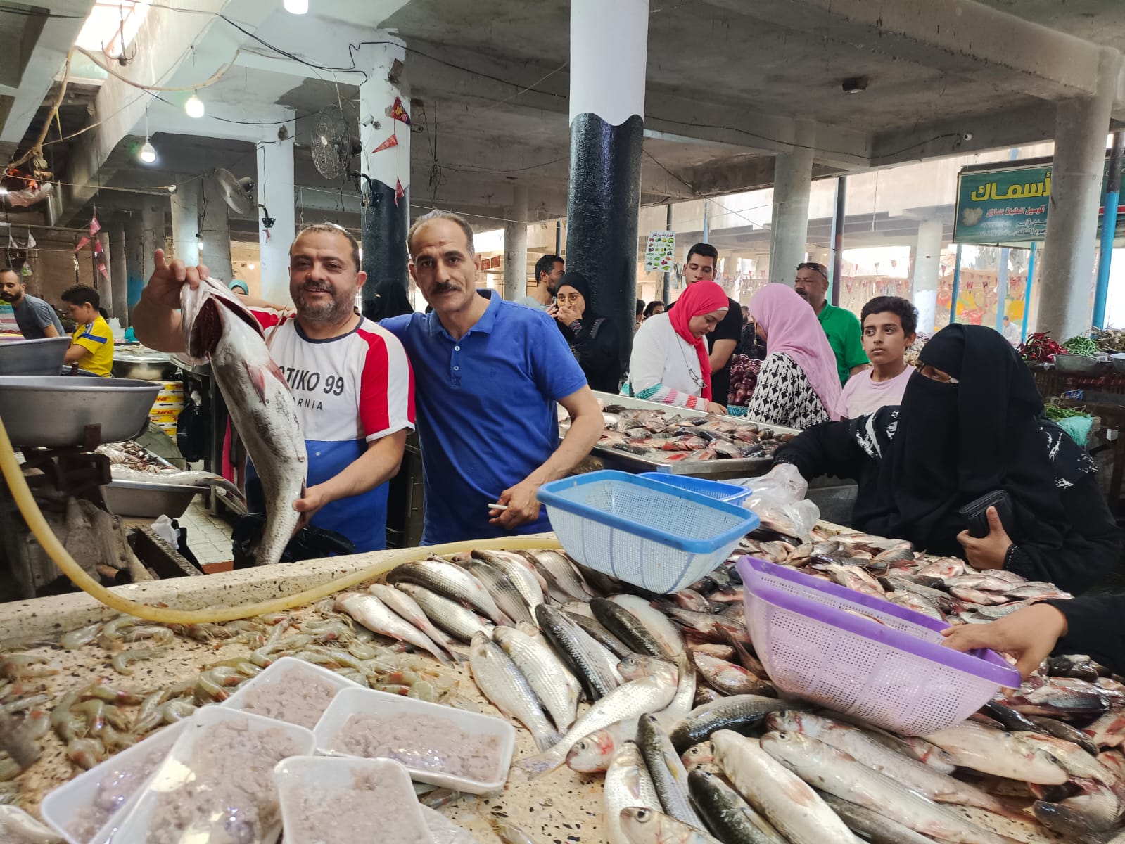  سوق بورسعيد للأسماك بمحافظة الإسماعيلية (7)