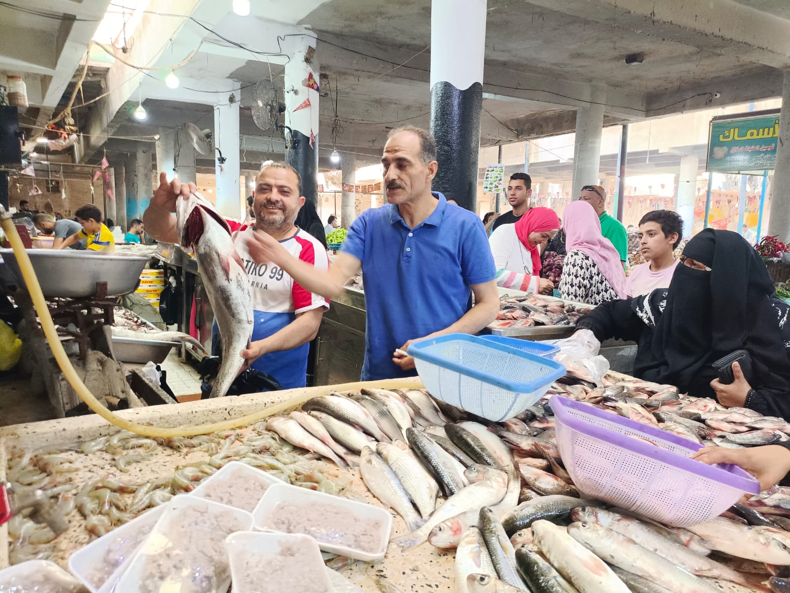  سوق بورسعيد للأسماك بمحافظة الإسماعيلية (2)