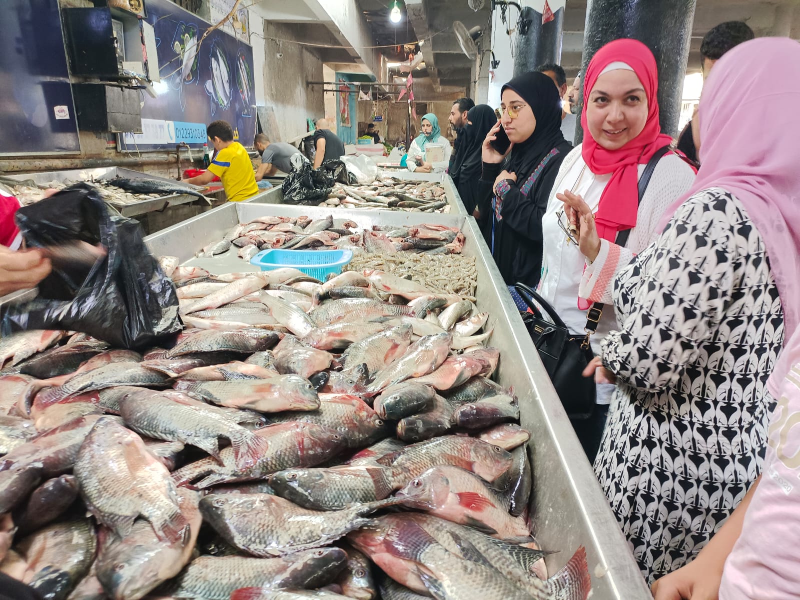  سوق بورسعيد للأسماك بمحافظة الإسماعيلية (5)