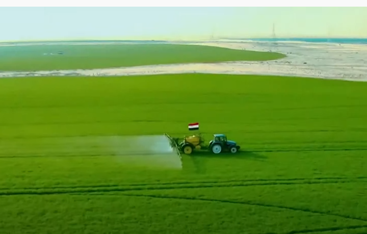 مستقبل مصر 4