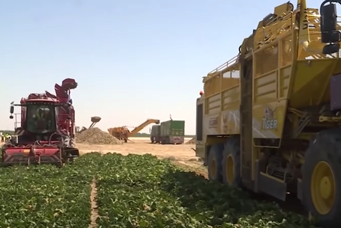 مستقبل مصر 8