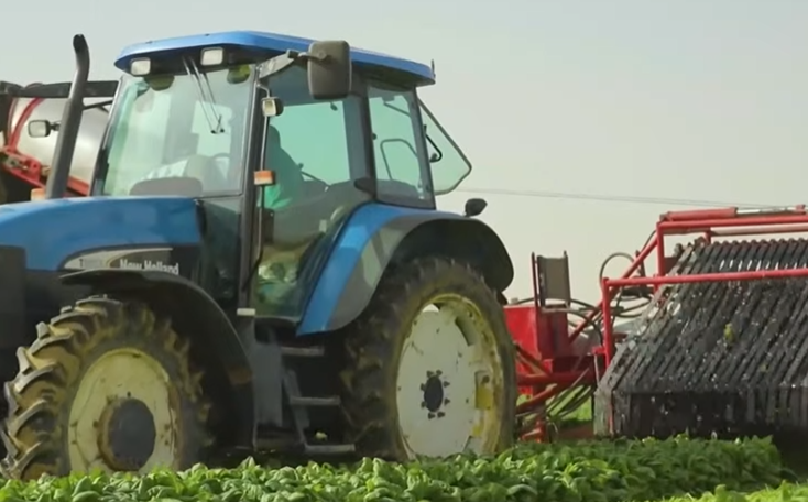 مستقبل مصر 6