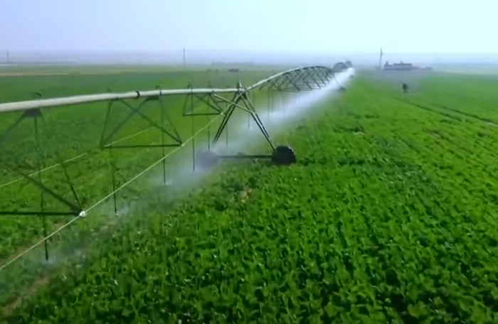 مستقبل مصر 7