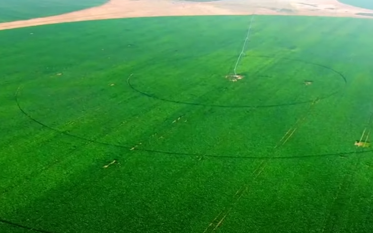 مستقبل مصر 13