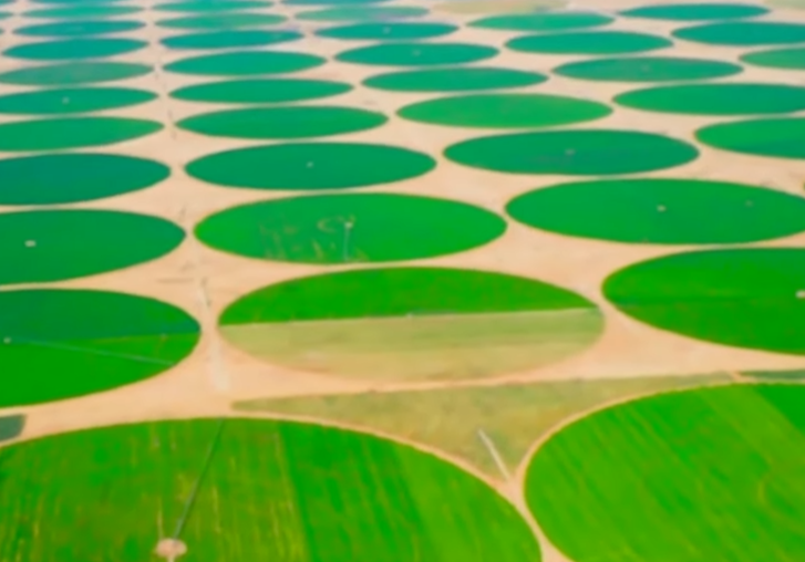 مستقبل مصر 12