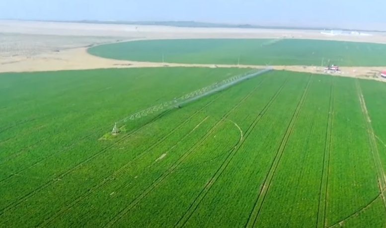 مستقبل مصر 11