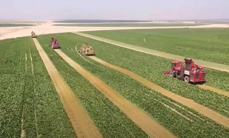 مستقبل مصر 10