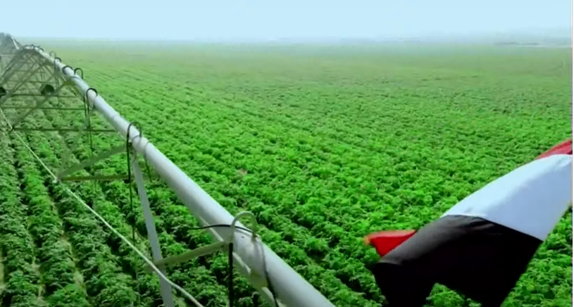 مستقبل مصر 5