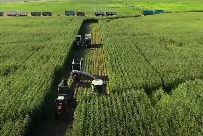 مستقبل مصر 16