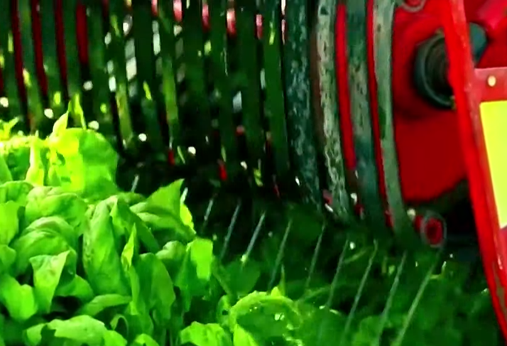 مستقبل مصر 15