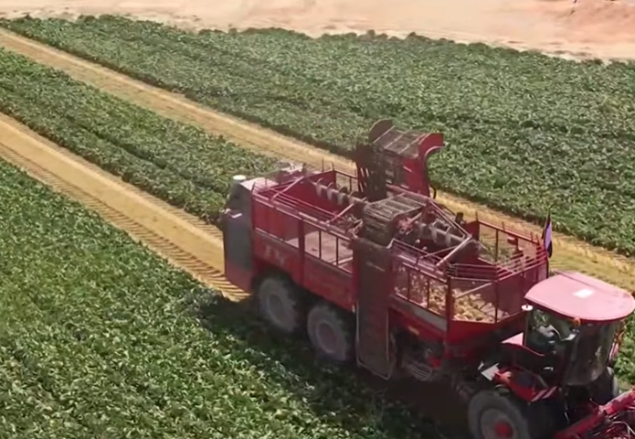 مستقبل مصر 3