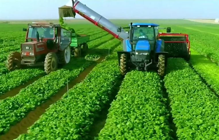 مستقبل مصر 14