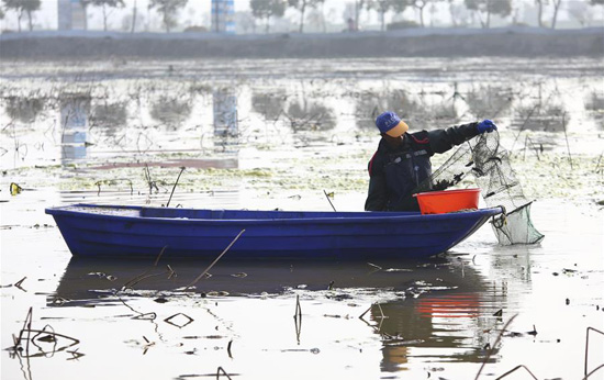 الصيد فى البحيرات الصينية