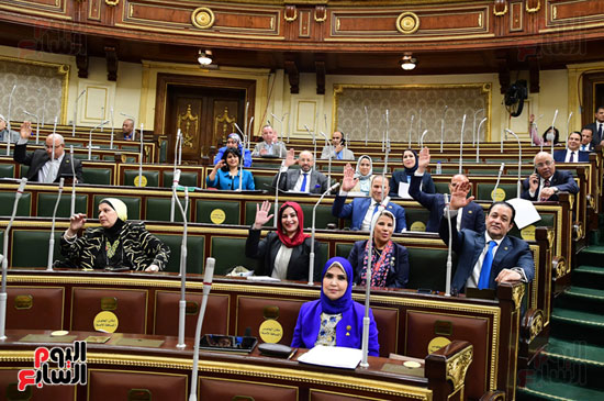 الجلسة العامة بمجلس النواب (8)