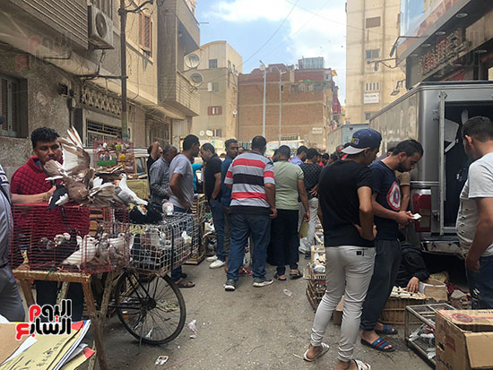 سوق-الحمام-بالمنصورة-يجمع-هواة-التربية سوق-الحمام-بالمنصورة-يجمع-هواة-التربية