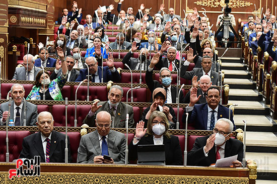 الجلسة العامة لمجلس الشيوخ (3)