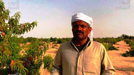 المزارع-محمد-ابوبخيت