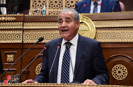 الجلسة العامة لمجلس الشيوخ (10)