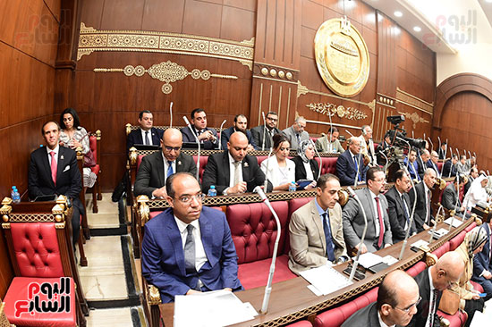 الجلسة العامة لمجلس الشيوخ (7)