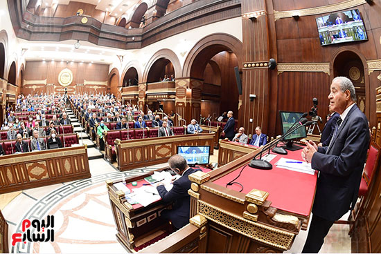 الجلسة العامة لمجلس الشيوخ (11)