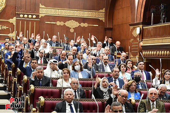 الجلسة العامة لمجلس الشيوخ (4)