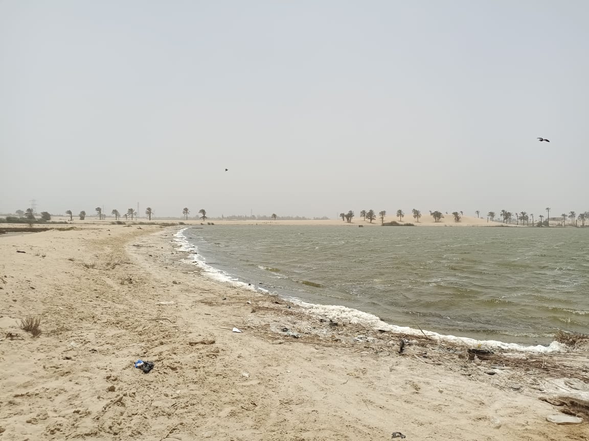 بحيرة الشيخ سليم بالإسماعيلية (1)