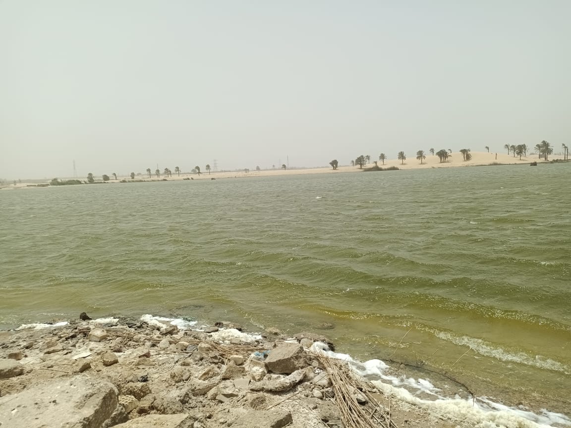 بحيرة الشيخ سليم بالإسماعيلية (5)