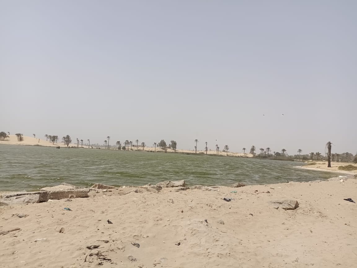 بحيرة الشيخ سليم بالإسماعيلية (4)