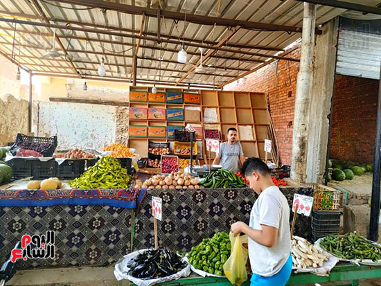 سوق-الخضار-والفاكهة-فى-الخارجة-بالوادى-الجديد-(6)