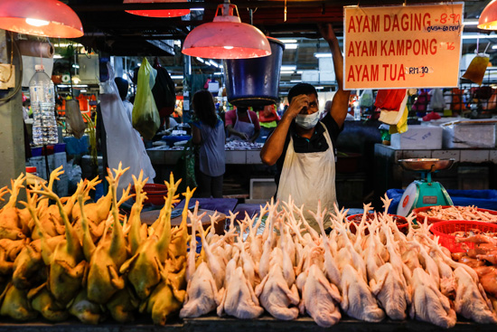 سوق الدواجن فى ماليزيا