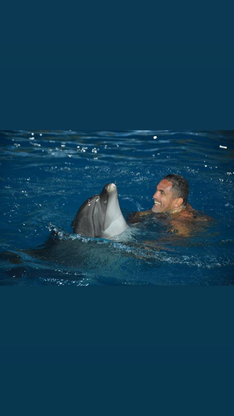 امير كرارة يلعب مع الدلافين (1)