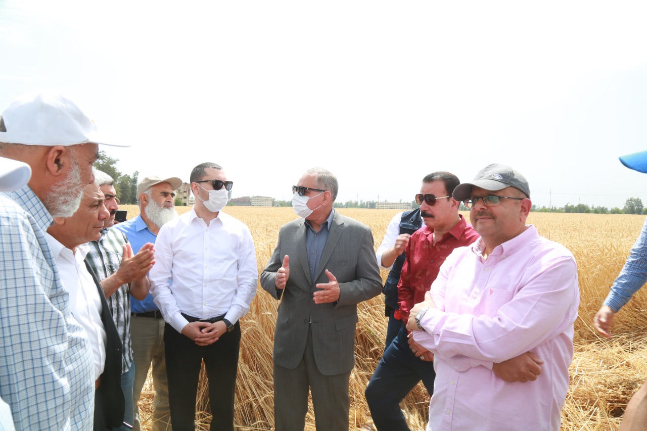 محافظ كفرالشيخ يتفقد أعمال حصاد القمح بقلين  (6)