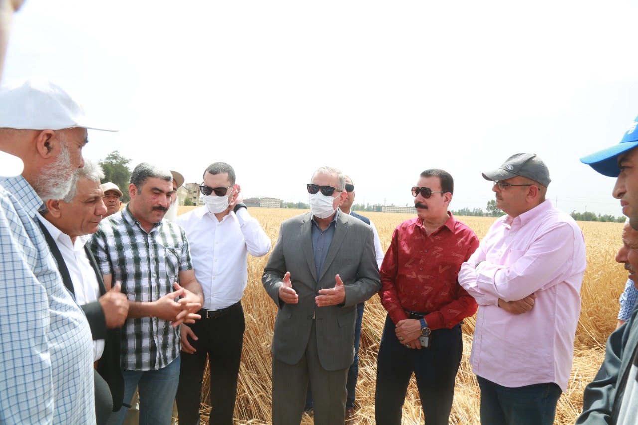 محافظ كفرالشيخ يتفقد أعمال حصاد القمح بقلين  (7)