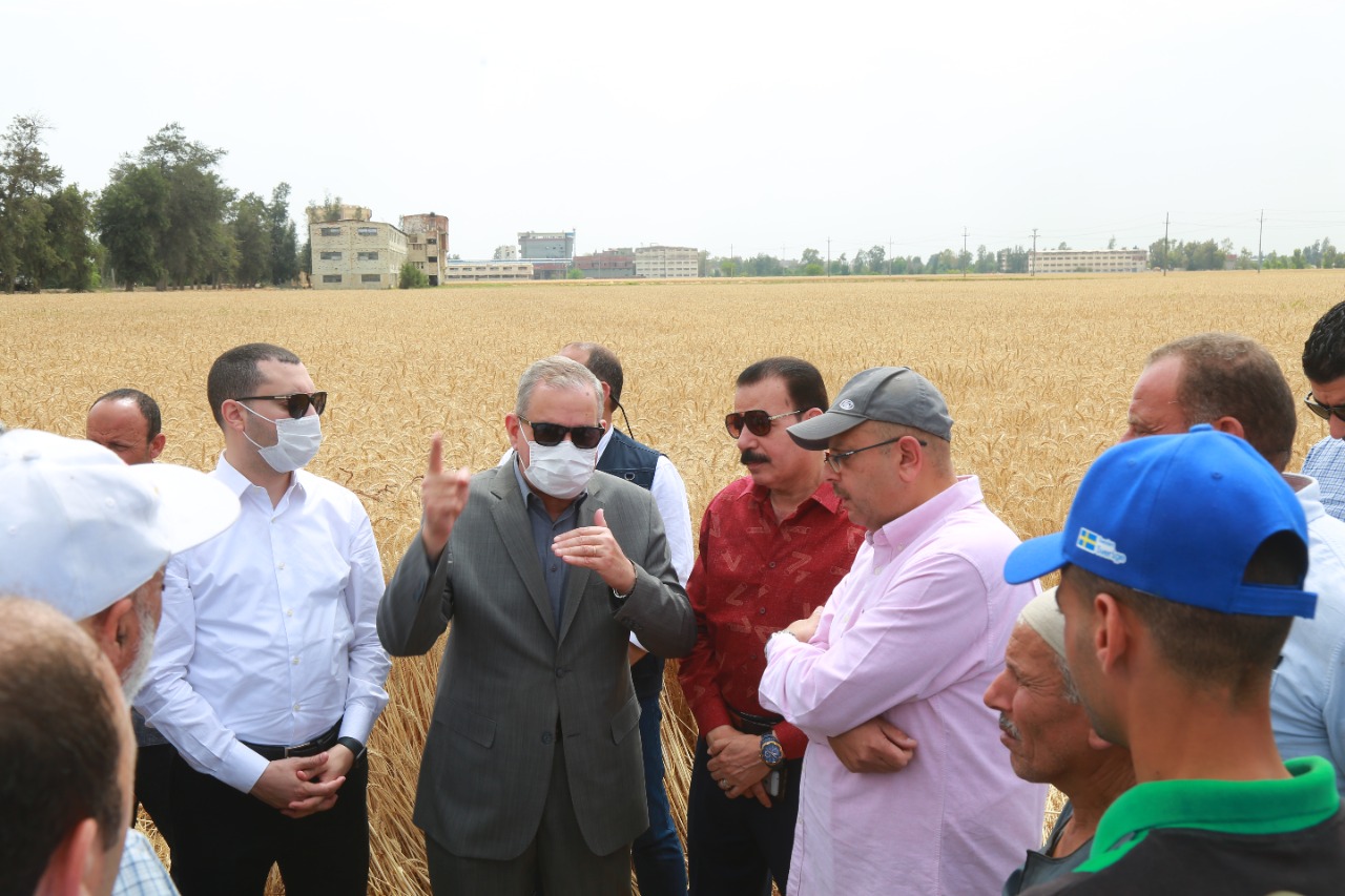 محافظ كفرالشيخ يتفقد أعمال حصاد القمح بقلين  (17)