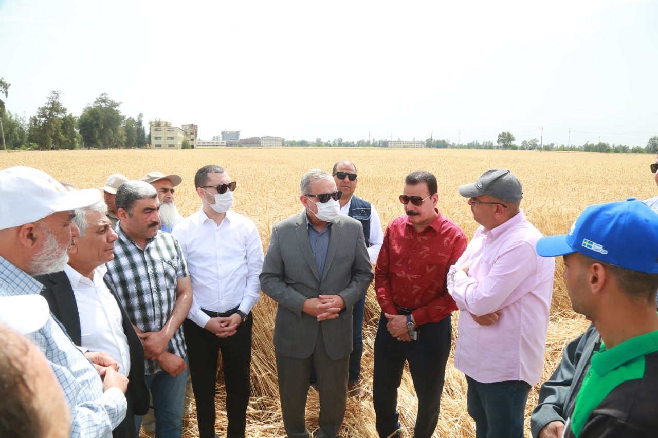 محافظ كفرالشيخ يتفقد أعمال حصاد القمح بقلين  (10)