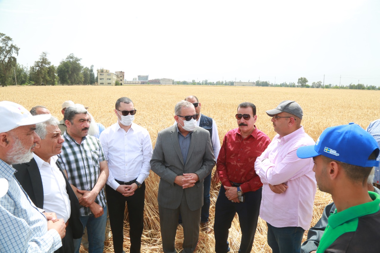 محافظ كفرالشيخ يتفقد أعمال حصاد القمح بقلين  (11)