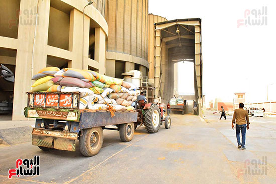محافظ أسيوط يتابع توريد القمح بصوامع عرب العوامر بمركز أبنوب (22)