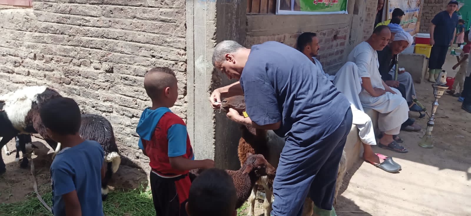 علاج وفحص أكثر من 3500 رأس ماشية مجانا في قرى حياة كريمة بمحافظة قنا
