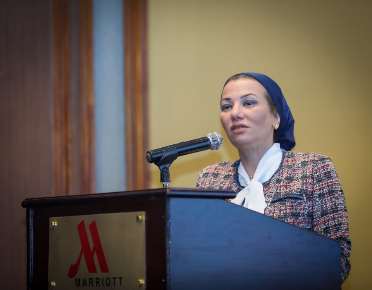 وزيرة البيئة وزيرة البيئة