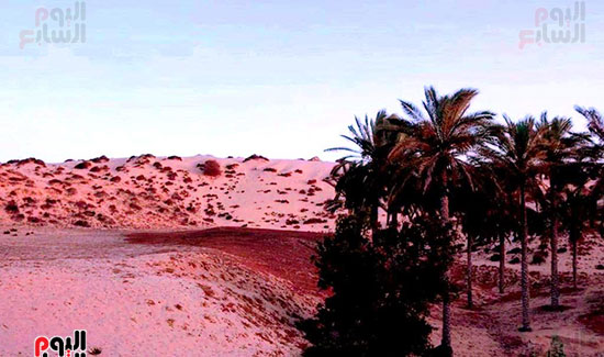 سحر-الطبيعة-البكر-فى-سيناء-(7)
