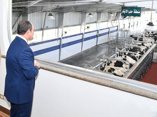 الرئيس-السيسى-يشهد-افتتاح-مجمع-الإنتاج-الحيواني-والألبان-بالسادات