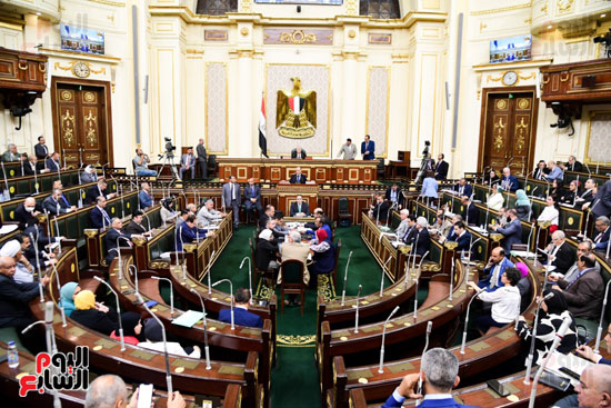 الجلسة العامة بمجلس النواب (6)