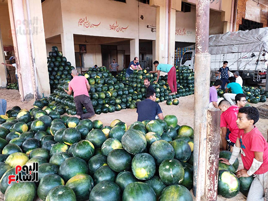البطيخ-يزين-السوق