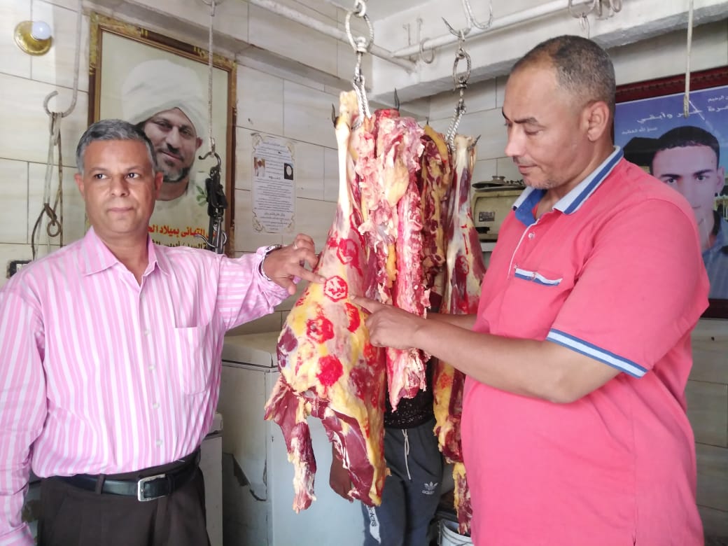 حملات بيئية وتفتيشية لضبط المخالفات والمرور على محلات الجزارة بمدينة الأقصر (4)